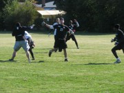 OTFL Gallery Image